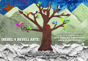 convoc_EZLN_pallasos